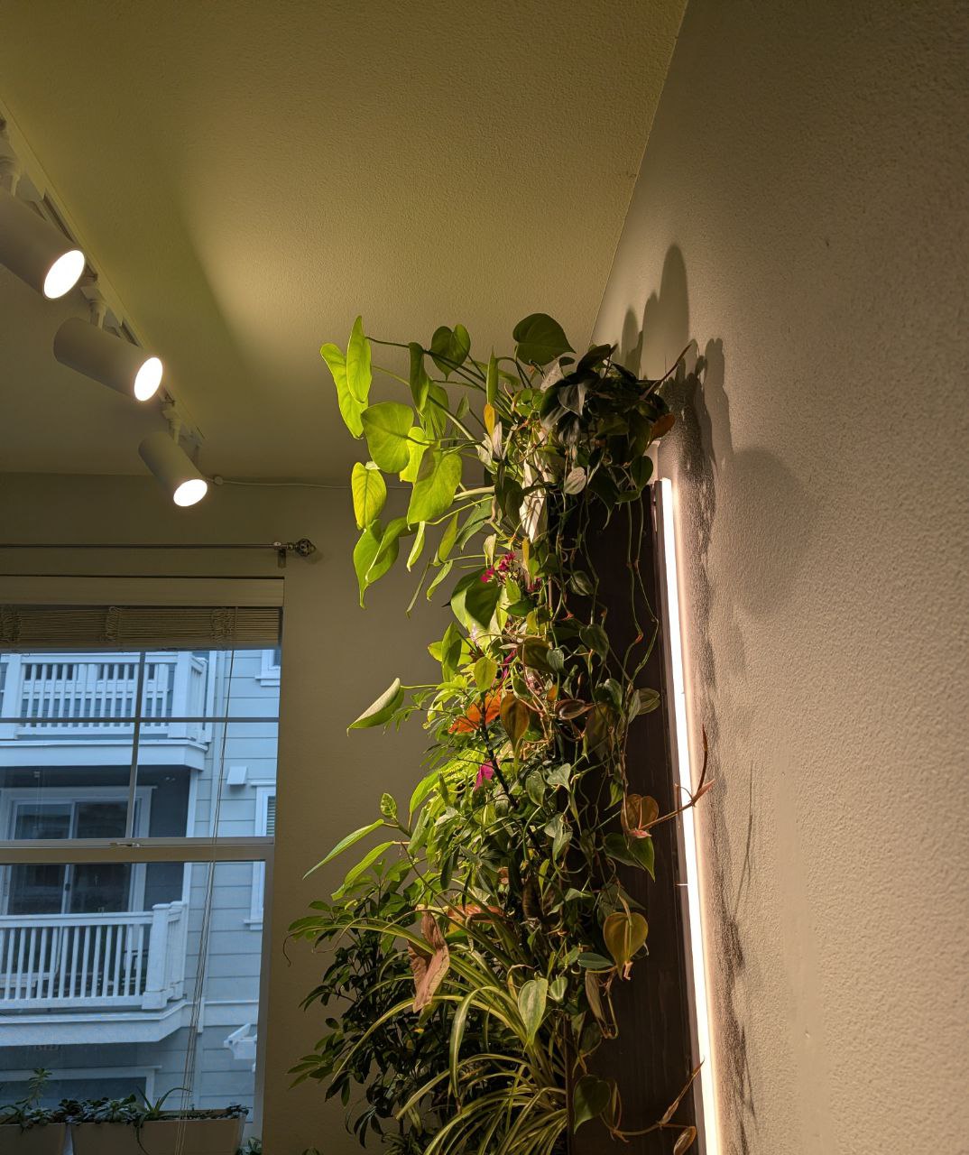 Full living wall with grow lights