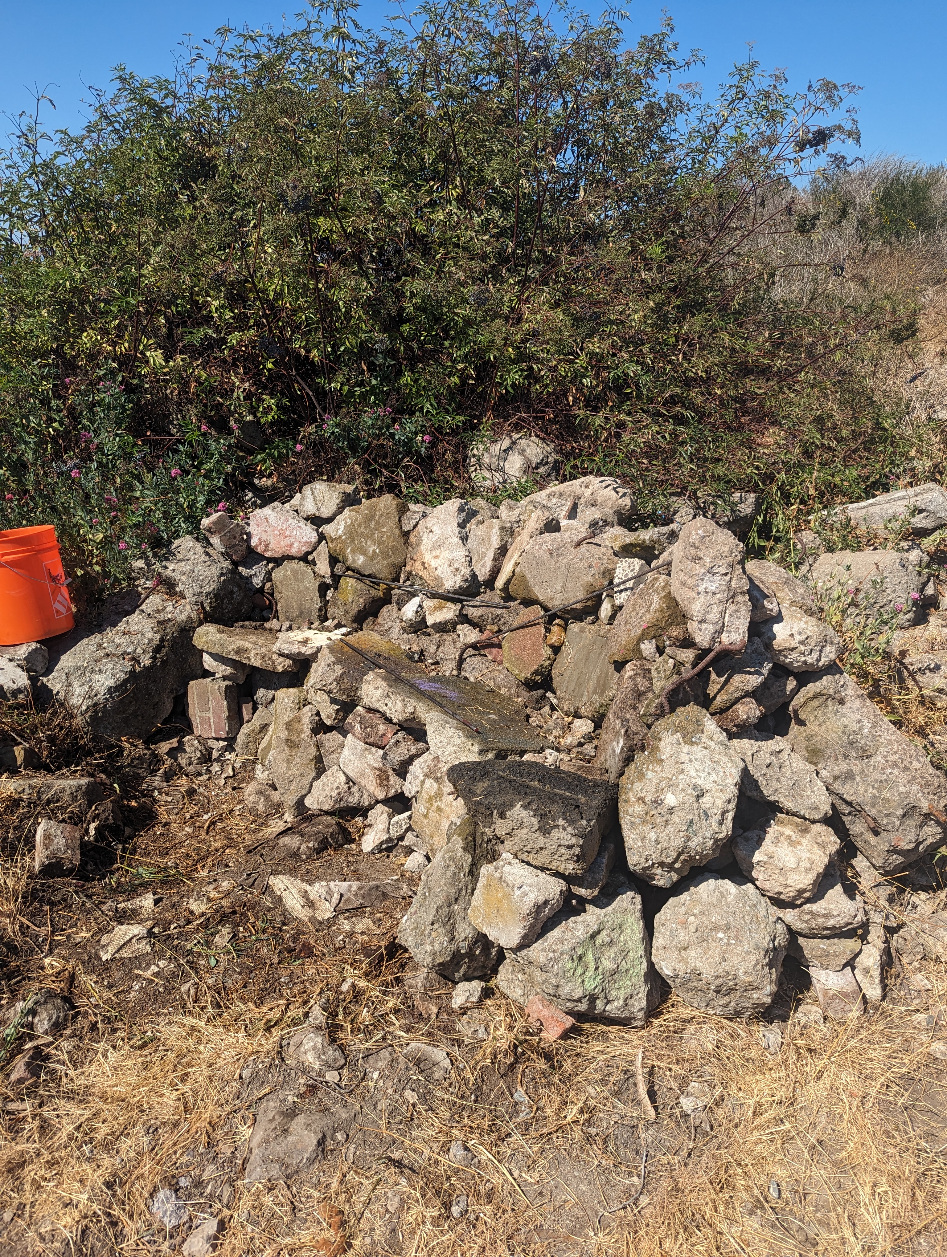 Wing Watcher's Perch