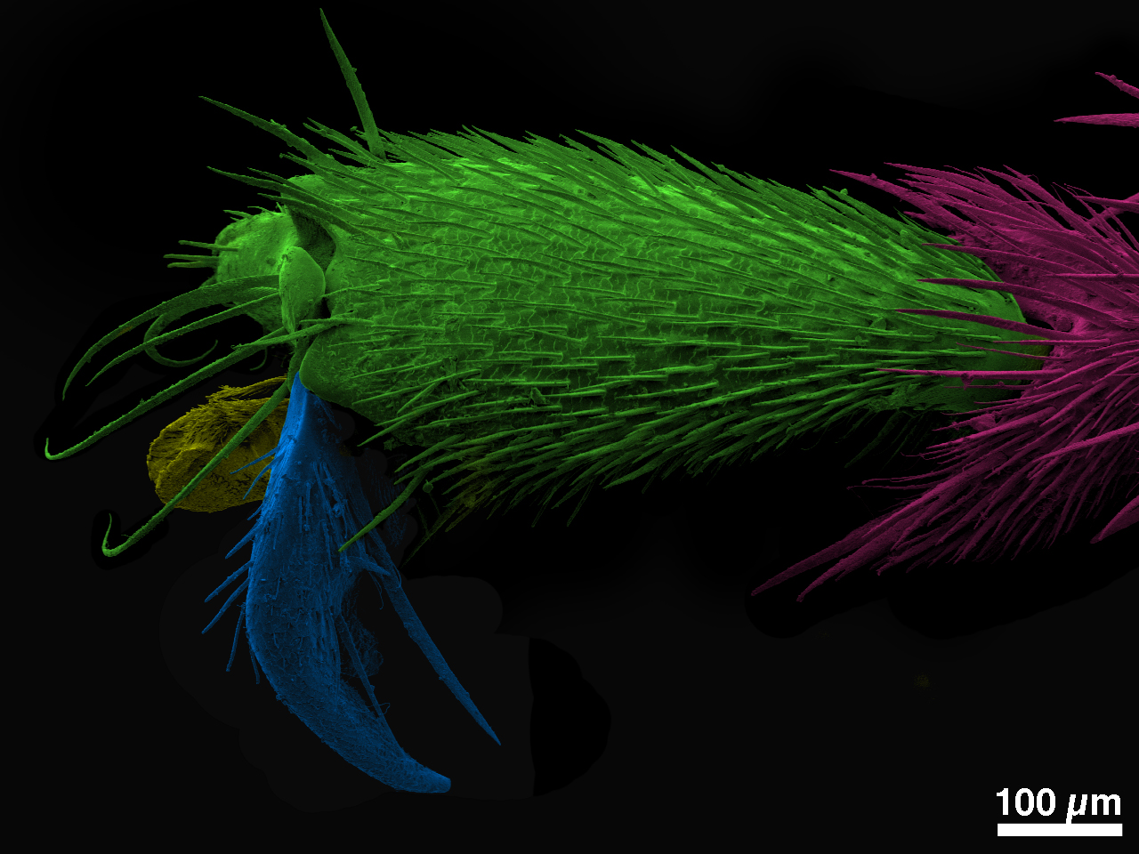 Narrative Career Arc