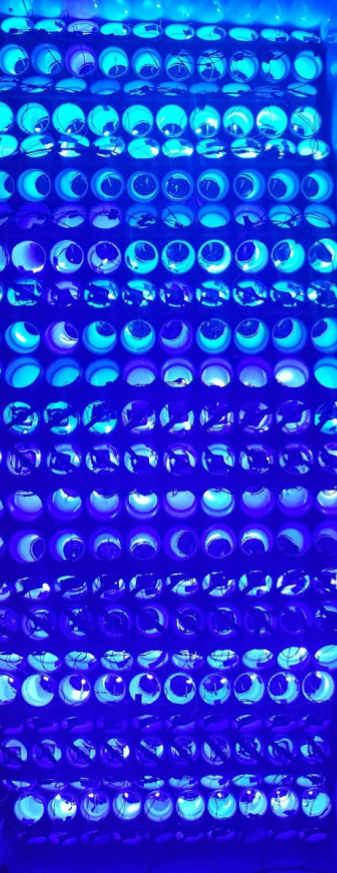 Plant Learning Paper